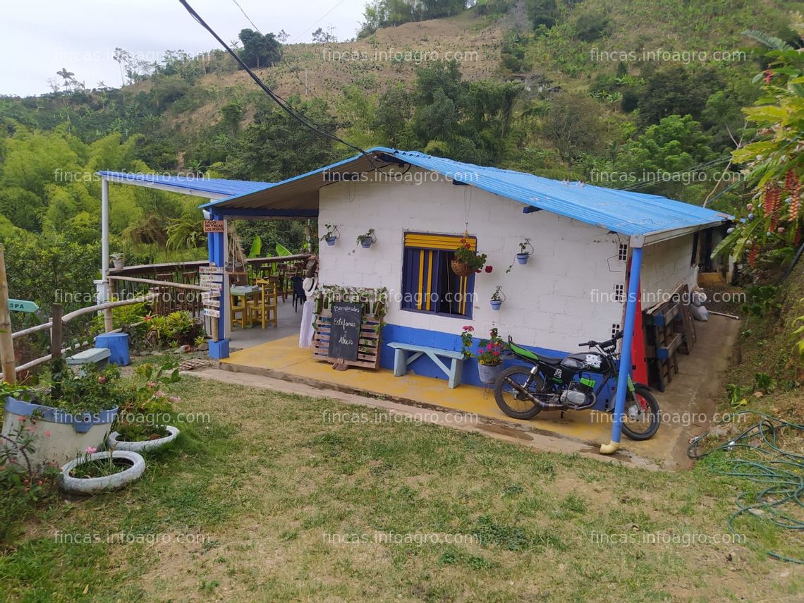 Fotos de Se vende Finca en Colombia: Finca Cerca de Pereira