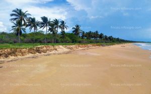 A la venta hectáreas con línea de playa