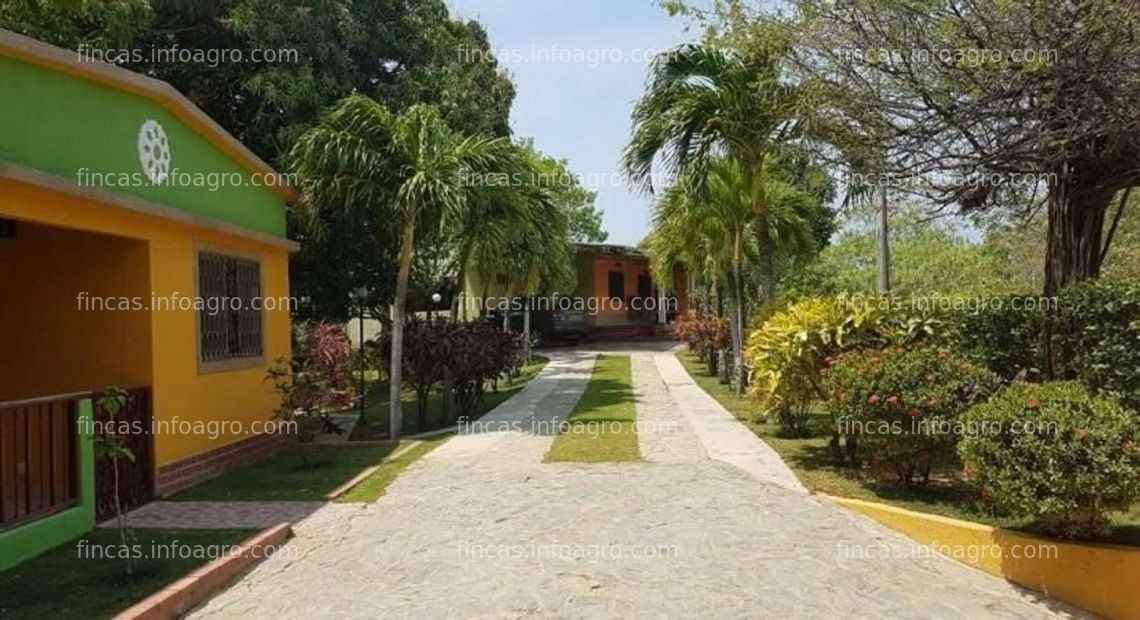 Fotos de A la venta Finca con piscina, Bonda, vereda Masinga