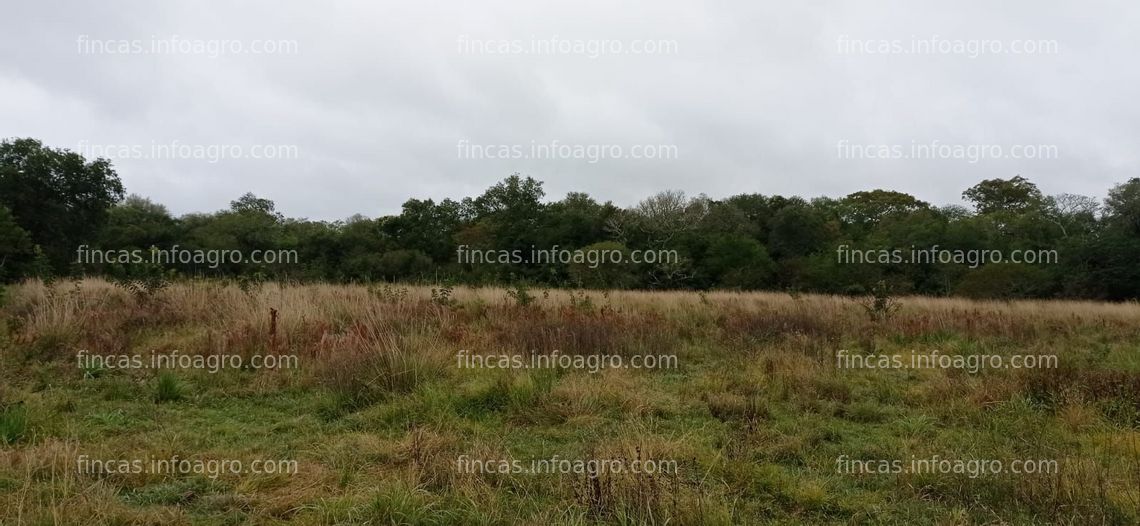 Fotos de Se vende 606 has en Selvas del Rio de Oro. Chaco Argentina. Sobre el Rio de Oro