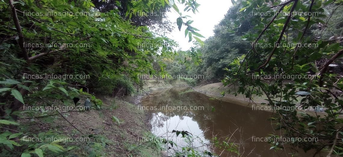 Fotos de Se vende 606 has en Selvas del Rio de Oro. Chaco Argentina. Sobre el Rio de Oro