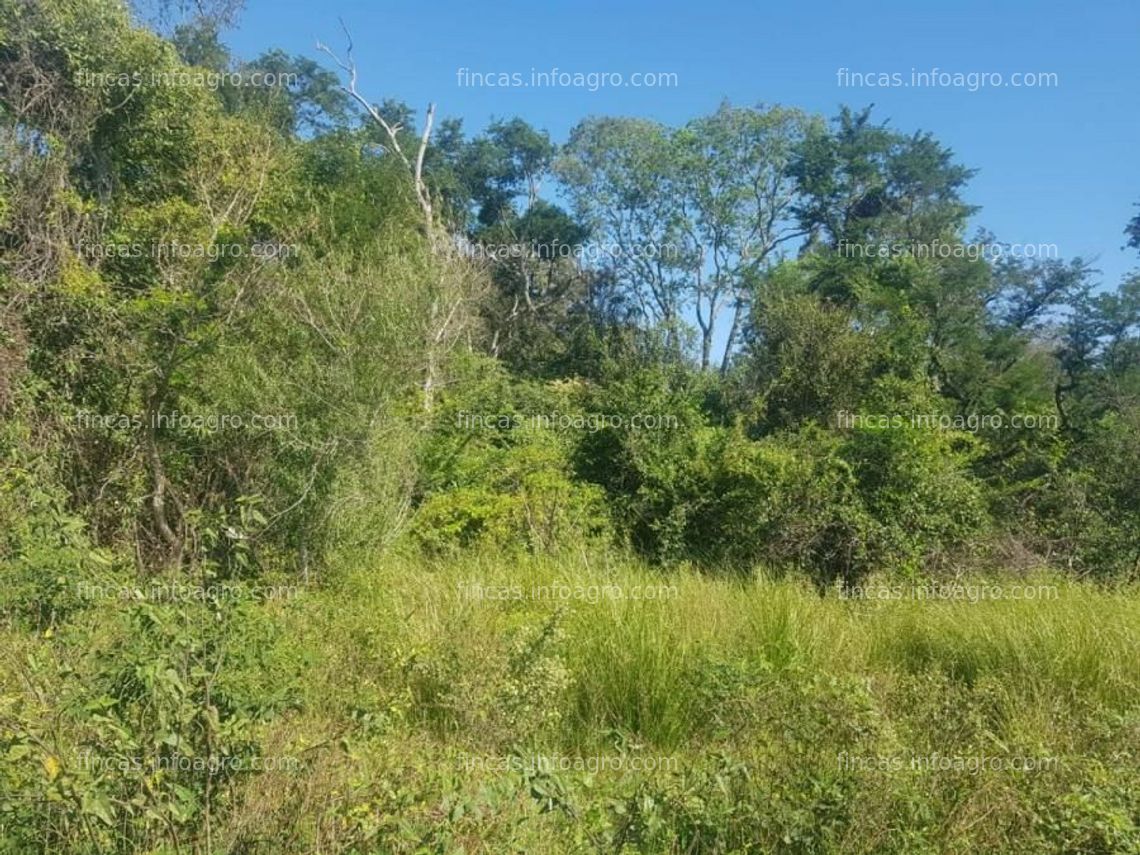 Fotos de En venta  5700 has Bartolomé de las Casas. Formosa. Muy buen campo Mixto!!!