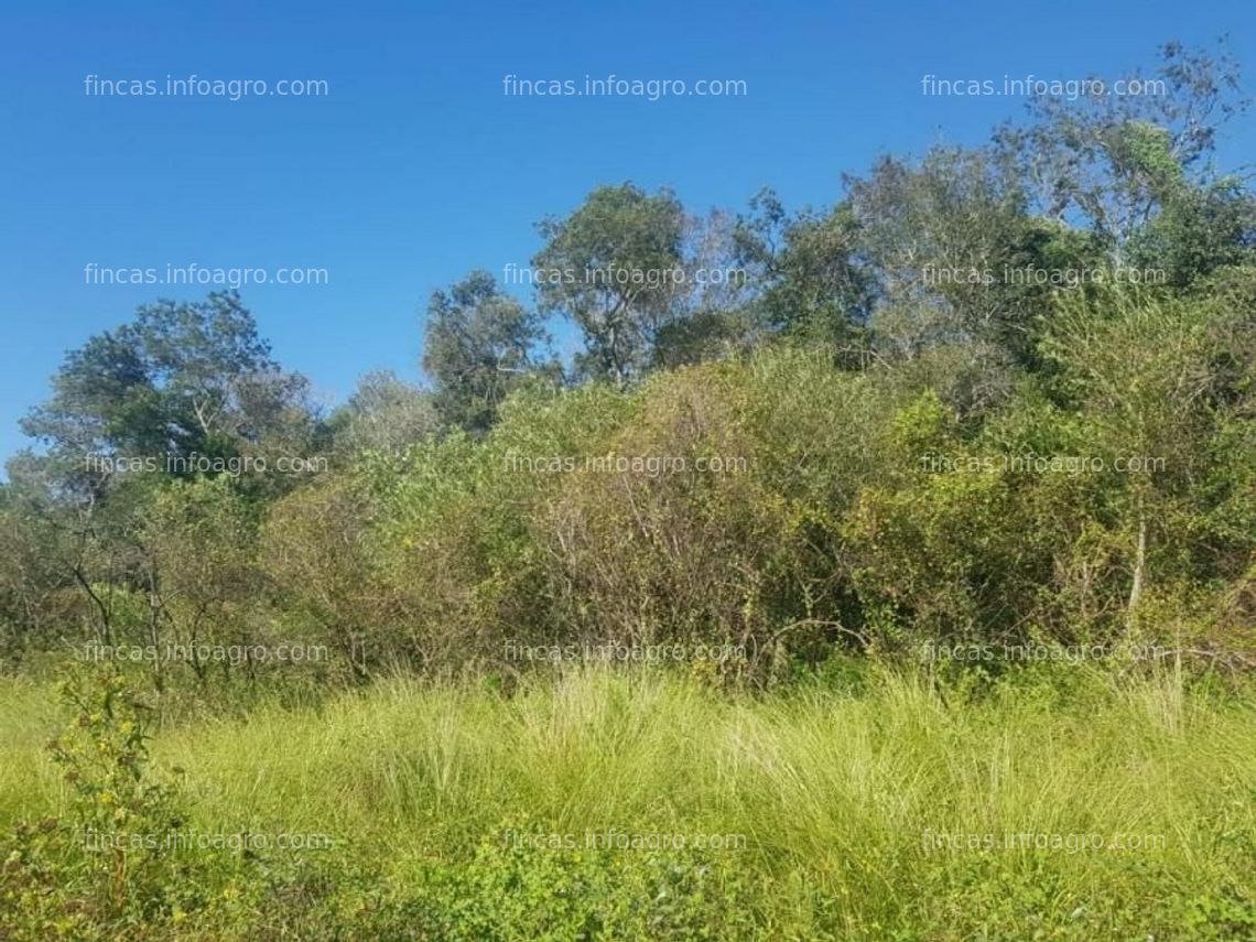 Fotos de En venta  5700 has Bartolomé de las Casas. Formosa. Muy buen campo Mixto!!!