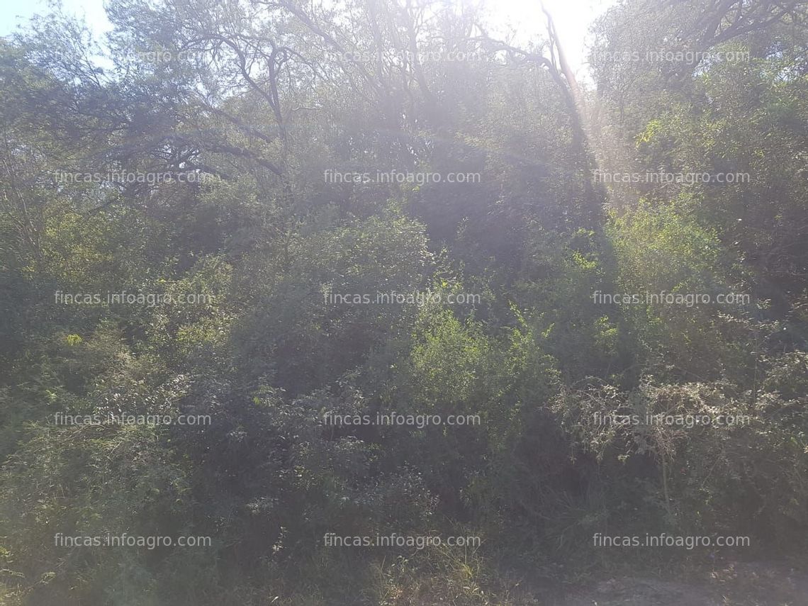 Fotos de En venta  5700 has Bartolomé de las Casas. Formosa. Muy buen campo Mixto!!!