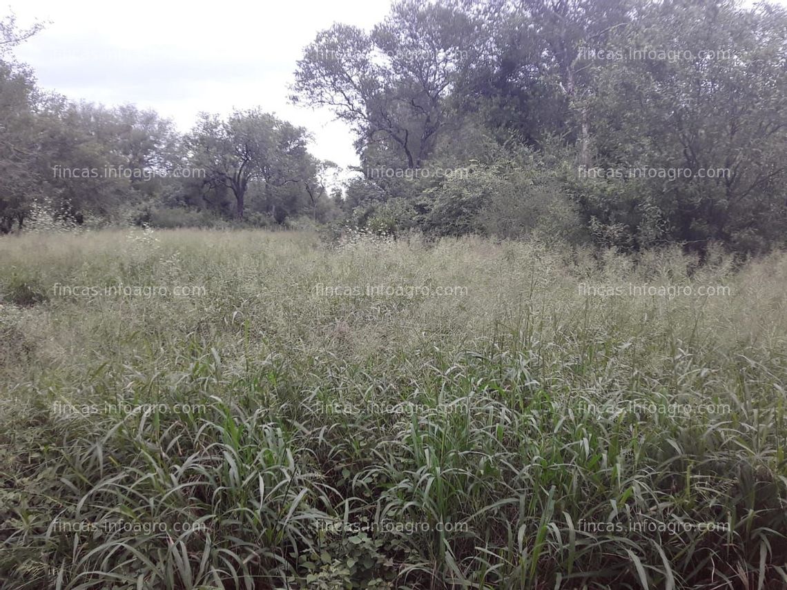 Fotos de Se vende campo en Castelli, Chaco. Oportunidad 700 Has. con 10 años de plazo. 