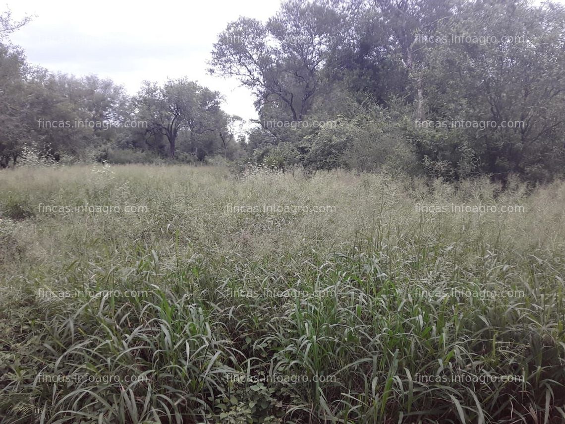 Fotos de A la venta Campo en Castelli. Chaco. Oportunidad 700 Has con 10 AÑOS de Plazo. 