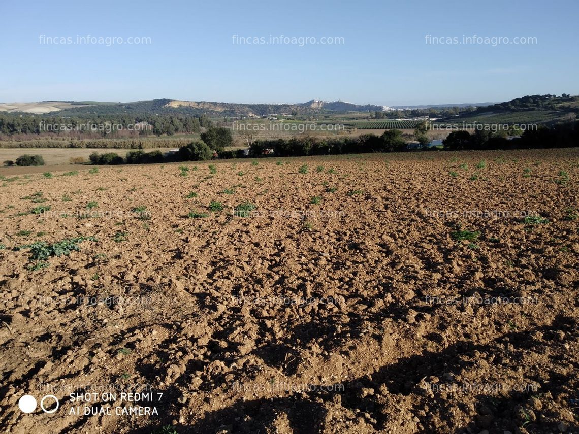 Fotos de Vendo finca de regadío