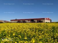 Fotos de A la venta finca ganadera con instalaciones completas para la leche