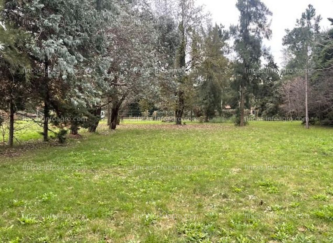 Fotos de A la venta fracción urbana para desarrollo en Pilar, Buenos Aires