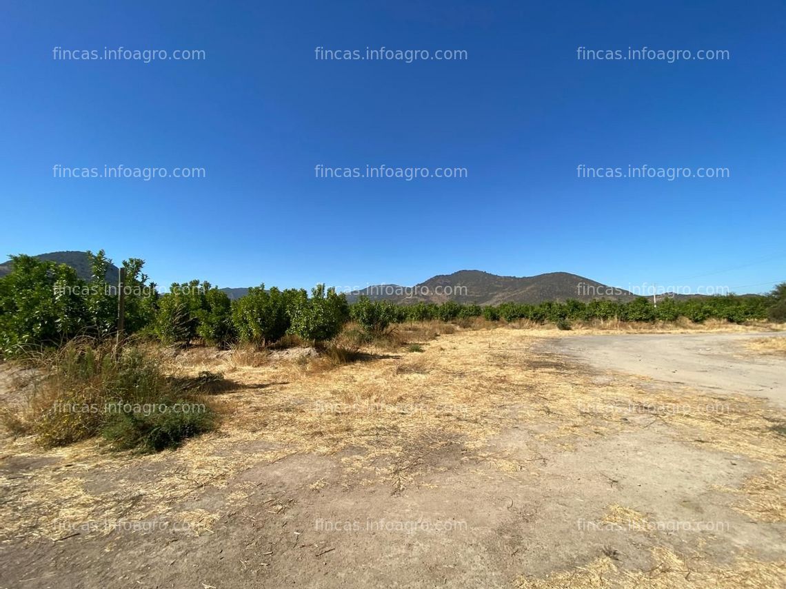 Fotos de A la venta oportunidad De Inversion / 22 Hectareas / Valle Colchagua / Chile