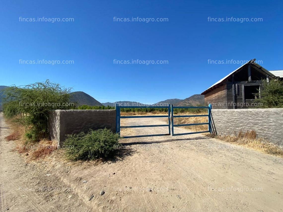 Fotos de A la venta oportunidad De Inversion / 22 Hectareas / Valle Colchagua / Chile