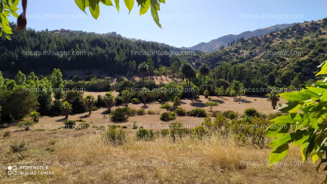 Fotos de Vendo OPORTUNIDAD DE INVERSION / Terreno 109 Hectareas + Casa 795 Mtrs2