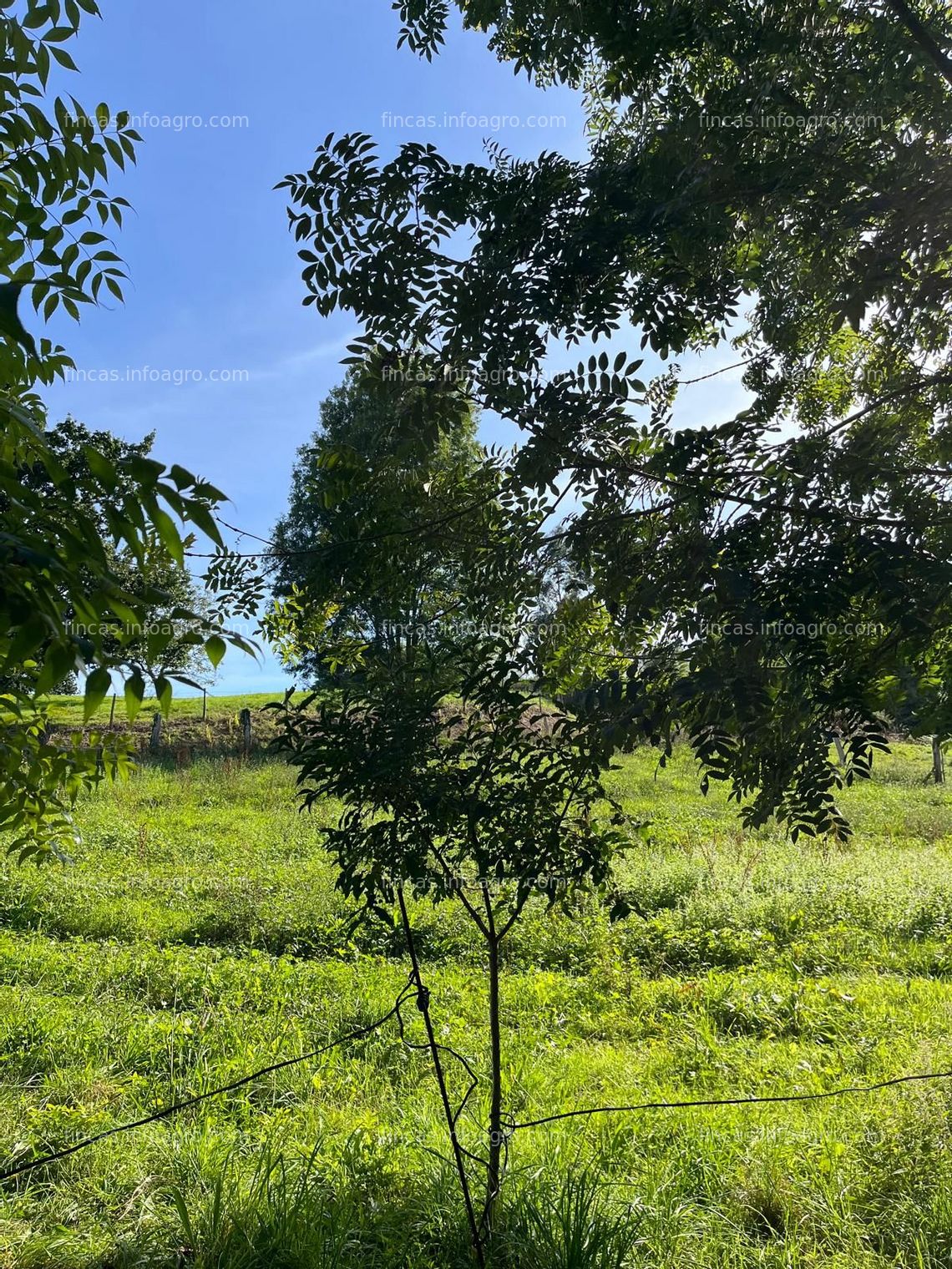 Fotos de A la venta 2 casas indendientes de pueblo 