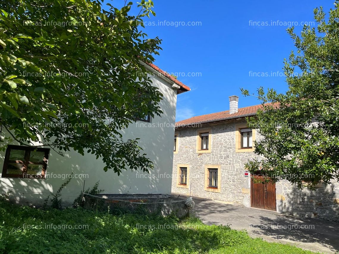 Fotos de A la venta 2 casas indendientes de pueblo 