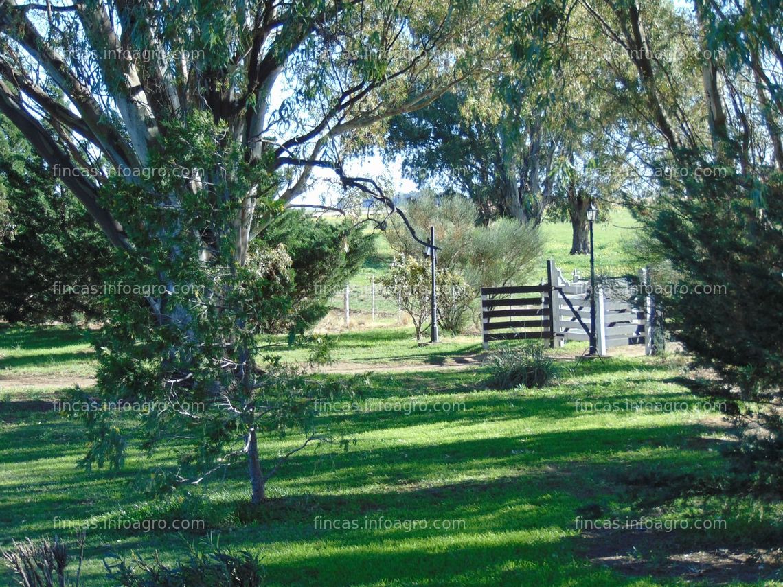 Fotos de Se vende finca agrícola y Ganadera en Argentina, Información en España