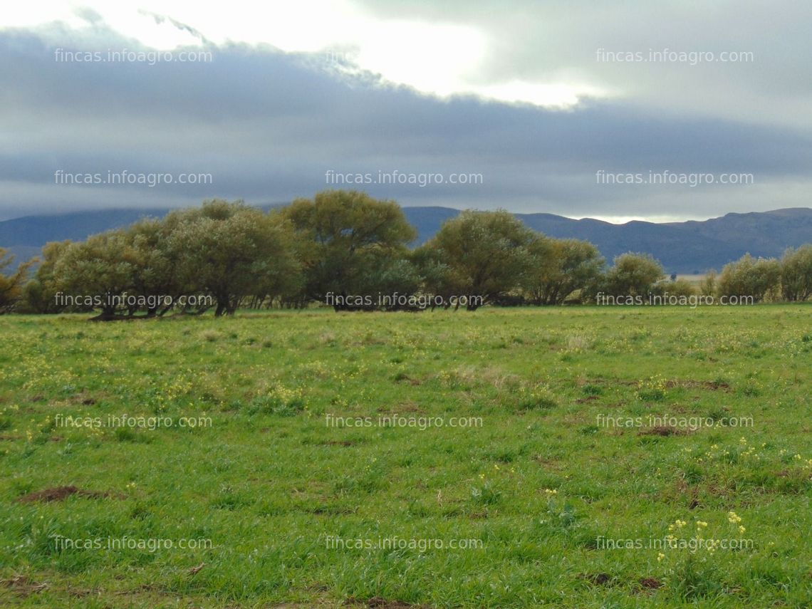 Fotos de Se vende finca agrícola y Ganadera en Argentina, Información en España