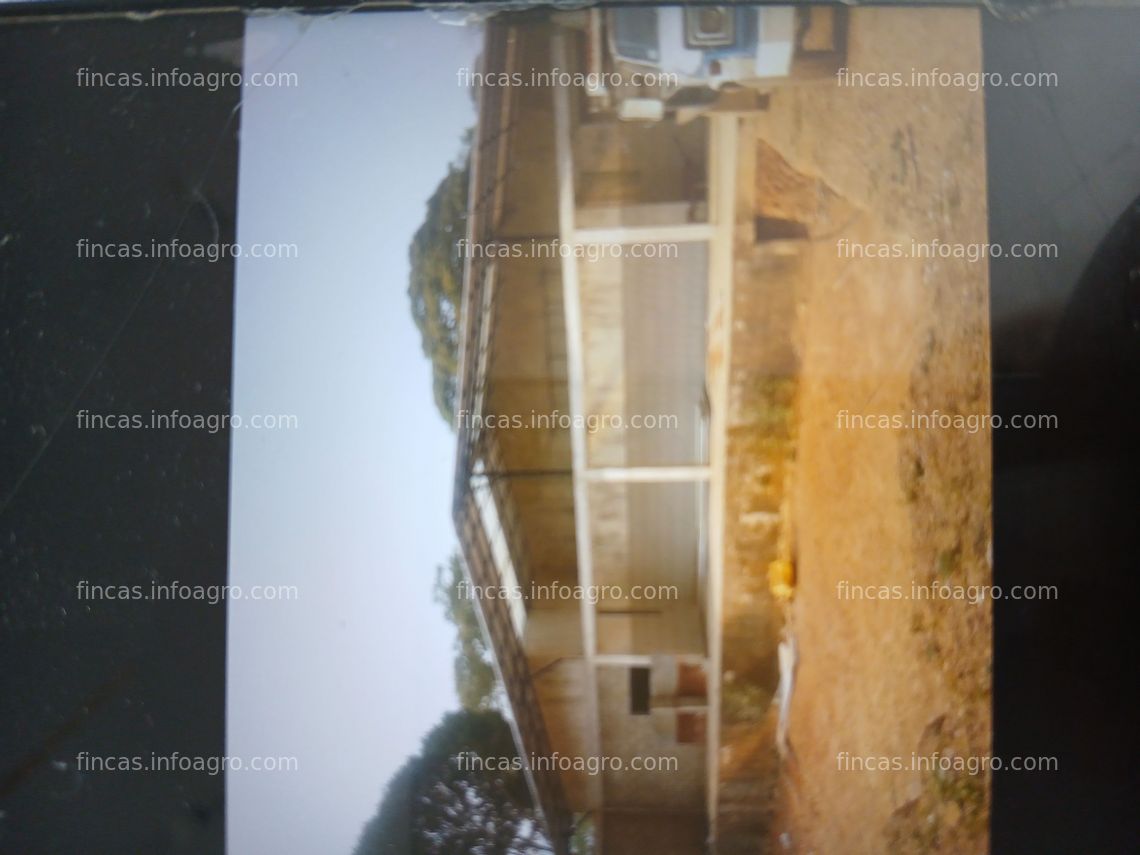 Fotos de Vendo finca 74ha con matadero de pollos Nuevo