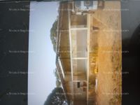Fotos de Vendo finca 74ha con matadero de pollos Nuevo