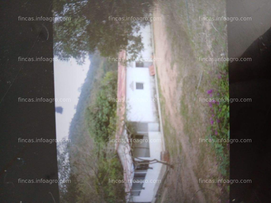 Fotos de Vendo finca 74ha con matadero de pollos Nuevo