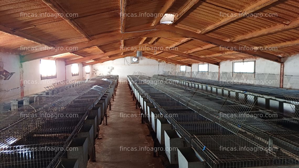 Fotos de A la venta parcela rústica con dos naves ganaderas