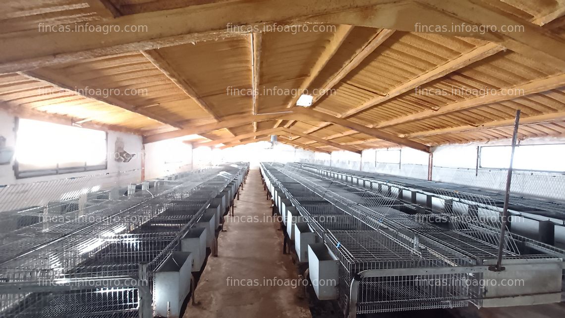 Fotos de A la venta parcela rústica con dos naves ganaderas