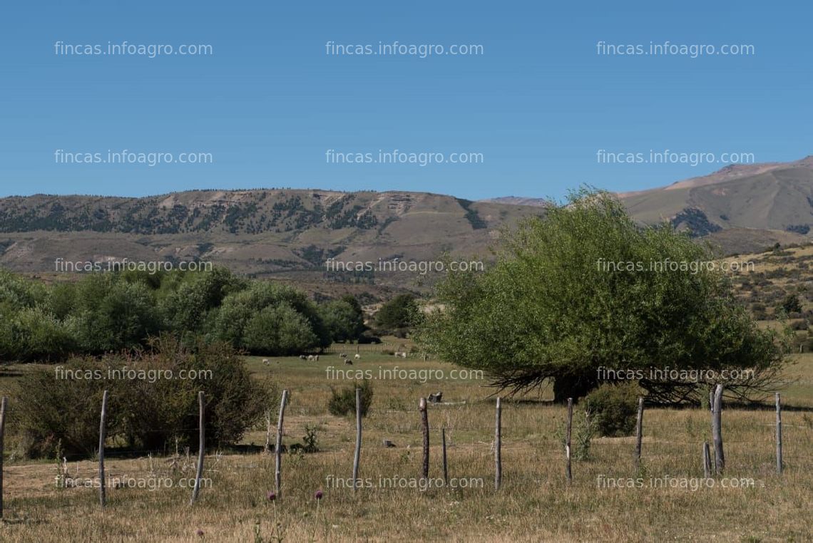 Fotos de Se vende Oportunidad en La Patagonia Argentina- Información en España 