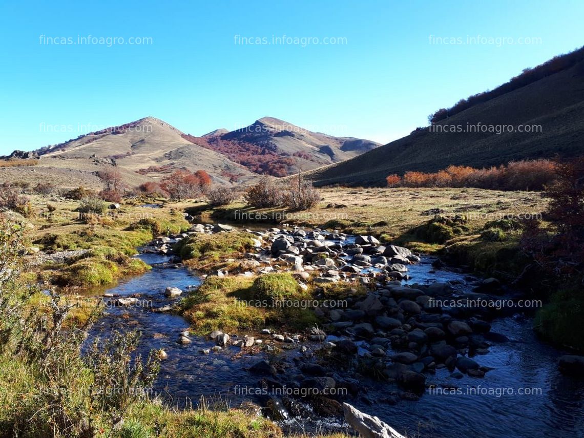 Fotos de Se vende Oportunidad en La Patagonia Argentina- Información en España 