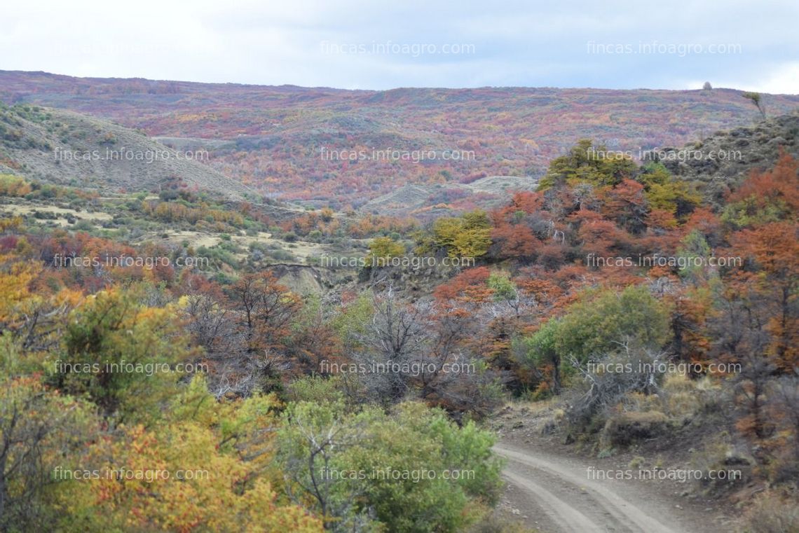 Fotos de Se vende Oportunidad en La Patagonia Argentina- Información en España 