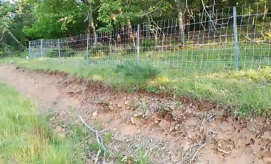 Fotos de En alquiler  Terreno de castaños para alquilar