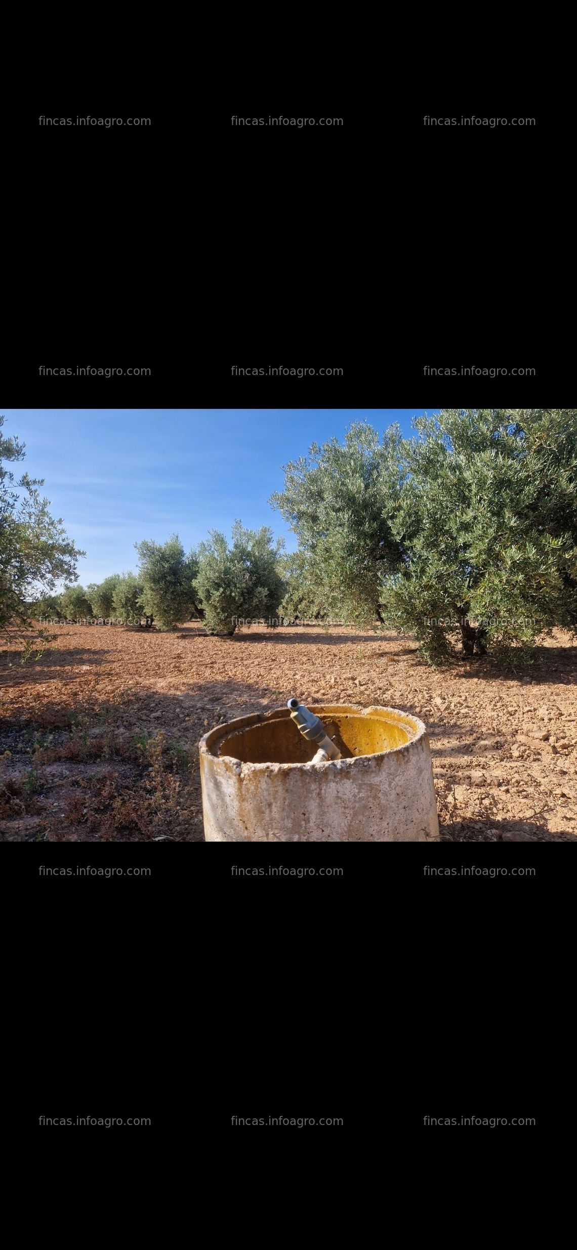 Fotos de A la venta Hectárea de Marteños