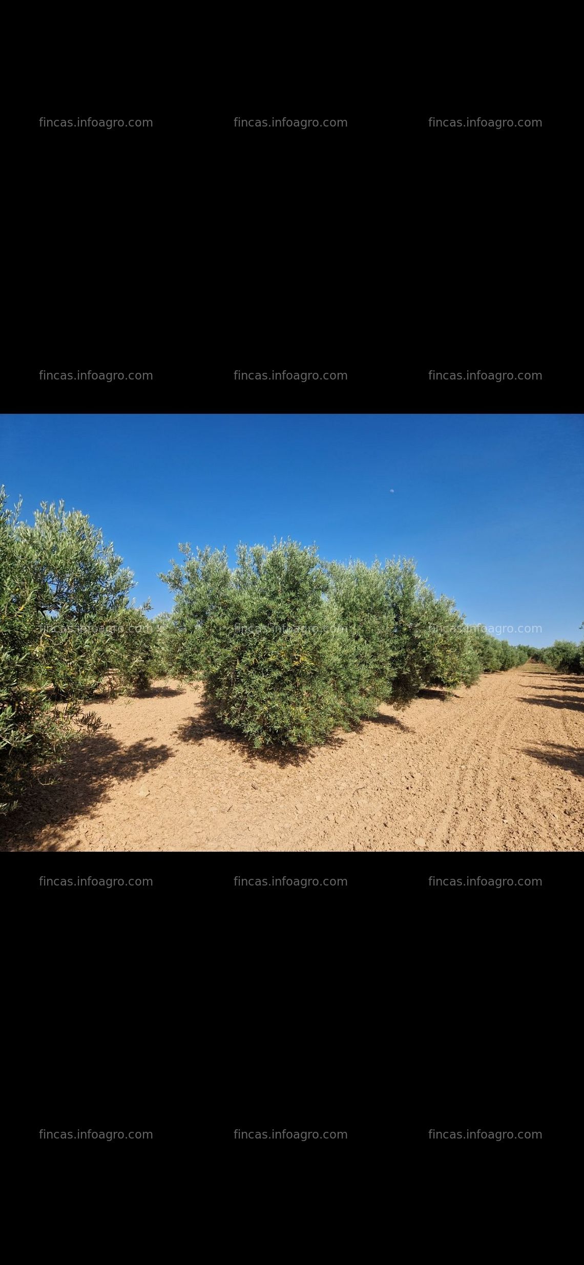 Fotos de A la venta Hectárea de Marteños