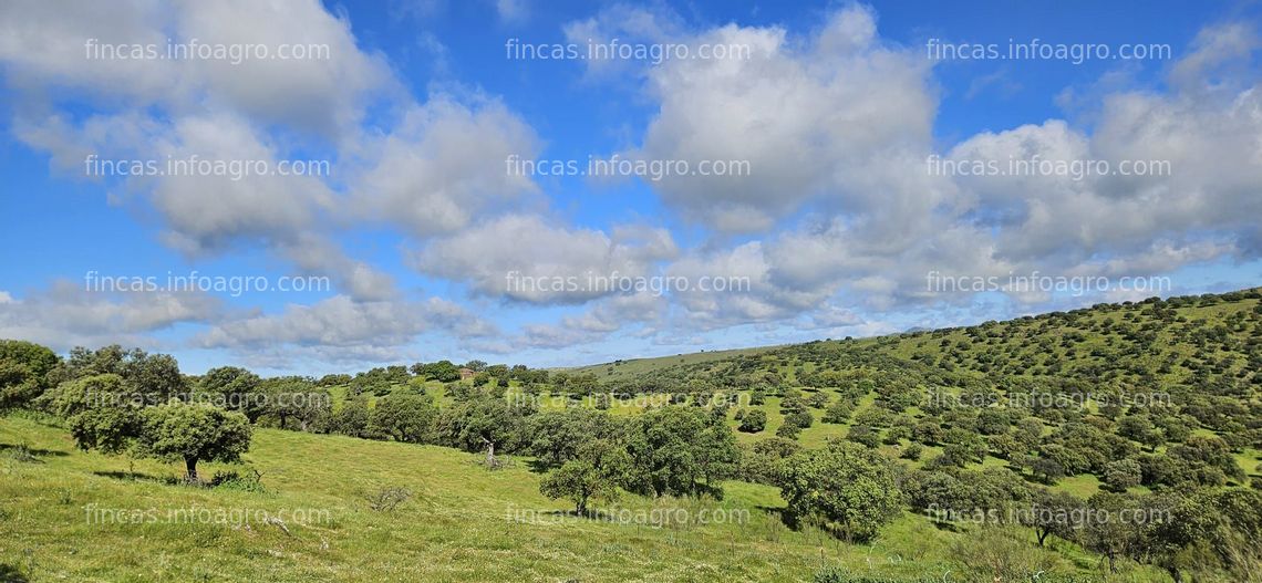 Fotos de A la venta Finca rústica junto al río Siruela