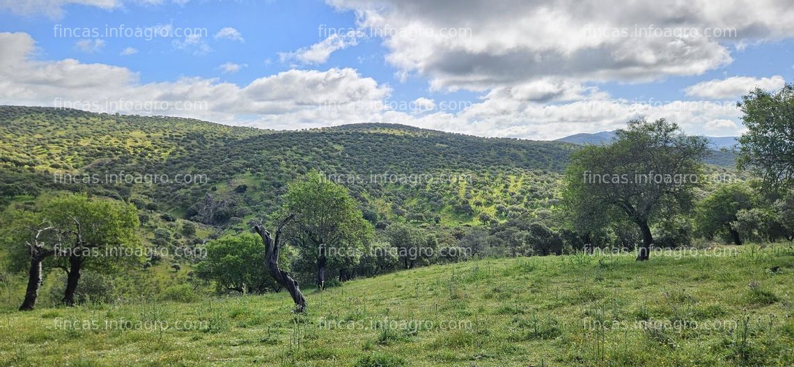 Fotos de A la venta Finca rústica junto al río Siruela