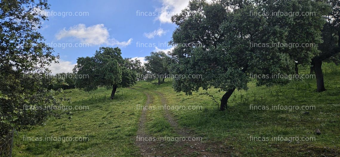 Fotos de A la venta Finca rústica junto al río Siruela