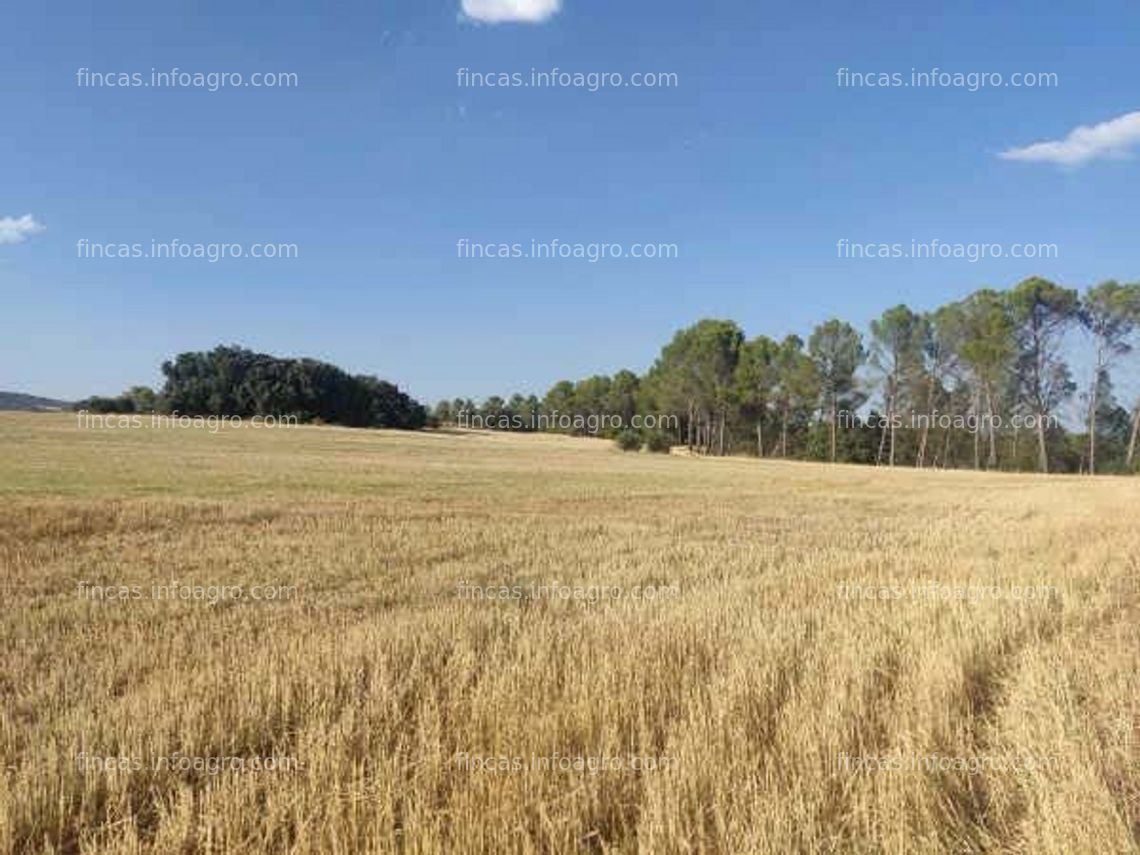 Fotos de En venta  finca rústica en Alcocer (Guadalajara)