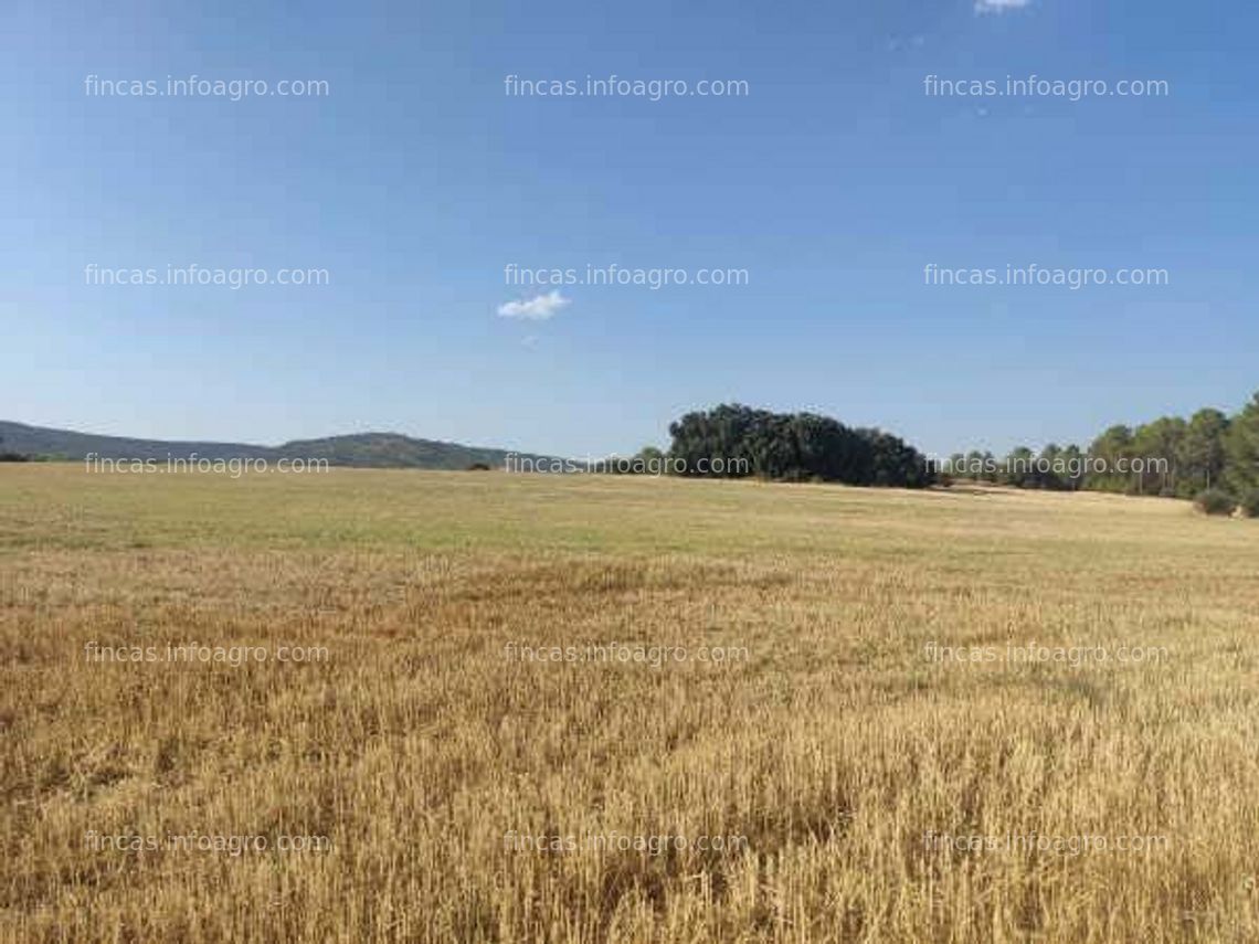Fotos de En venta  finca rústica en Alcocer (Guadalajara)