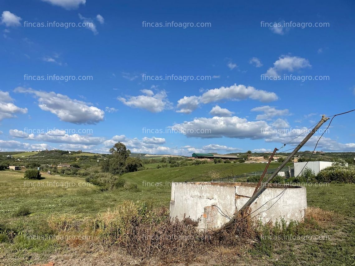 Fotos de Vendo finca de regadío