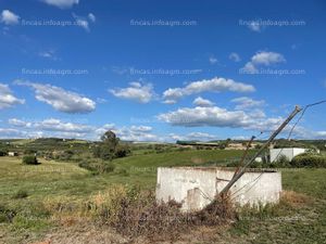 Vendo finca de regadío