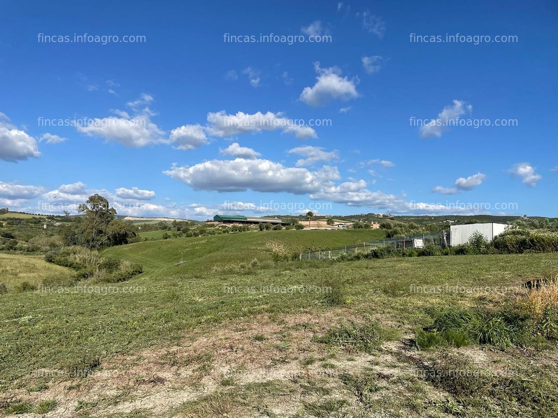 Fotos de Vendo finca de regadío