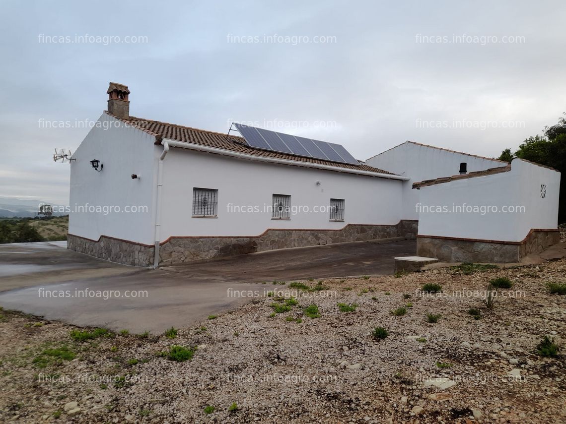 Fotos de A la venta finca de olivar