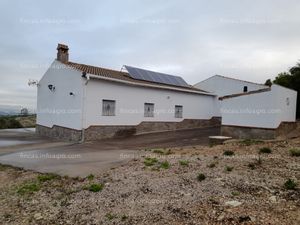 A la venta finca de olivar