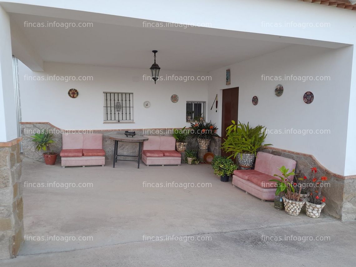 Fotos de A la venta finca de olivar