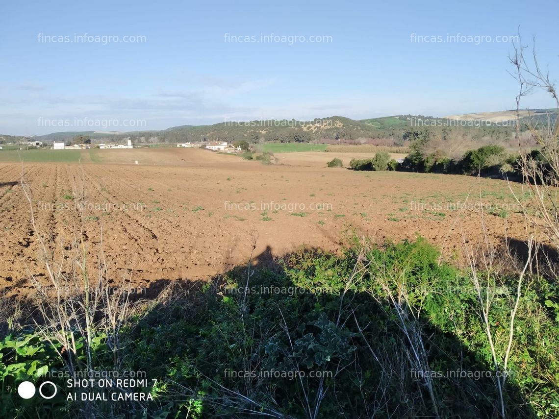 Fotos de Vendo finca de regadío