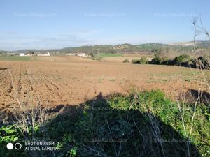 Vendo finca de regadío