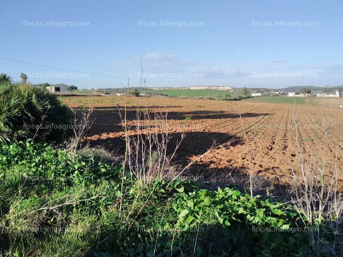 Fotos de Vendo finca de regadío