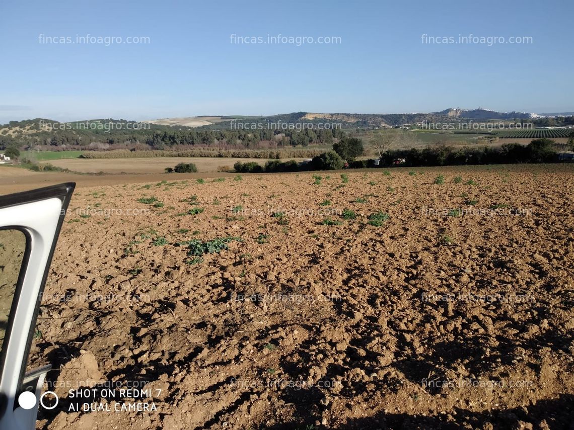 Fotos de Vendo finca de regadío