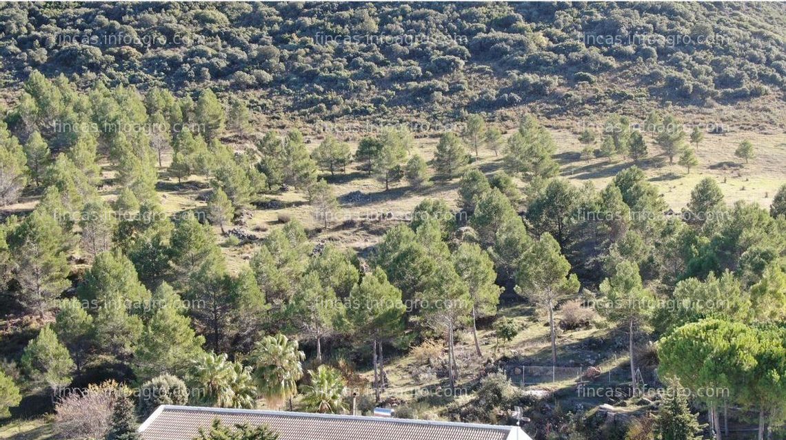 Fotos de En venta  finca en Ronda
