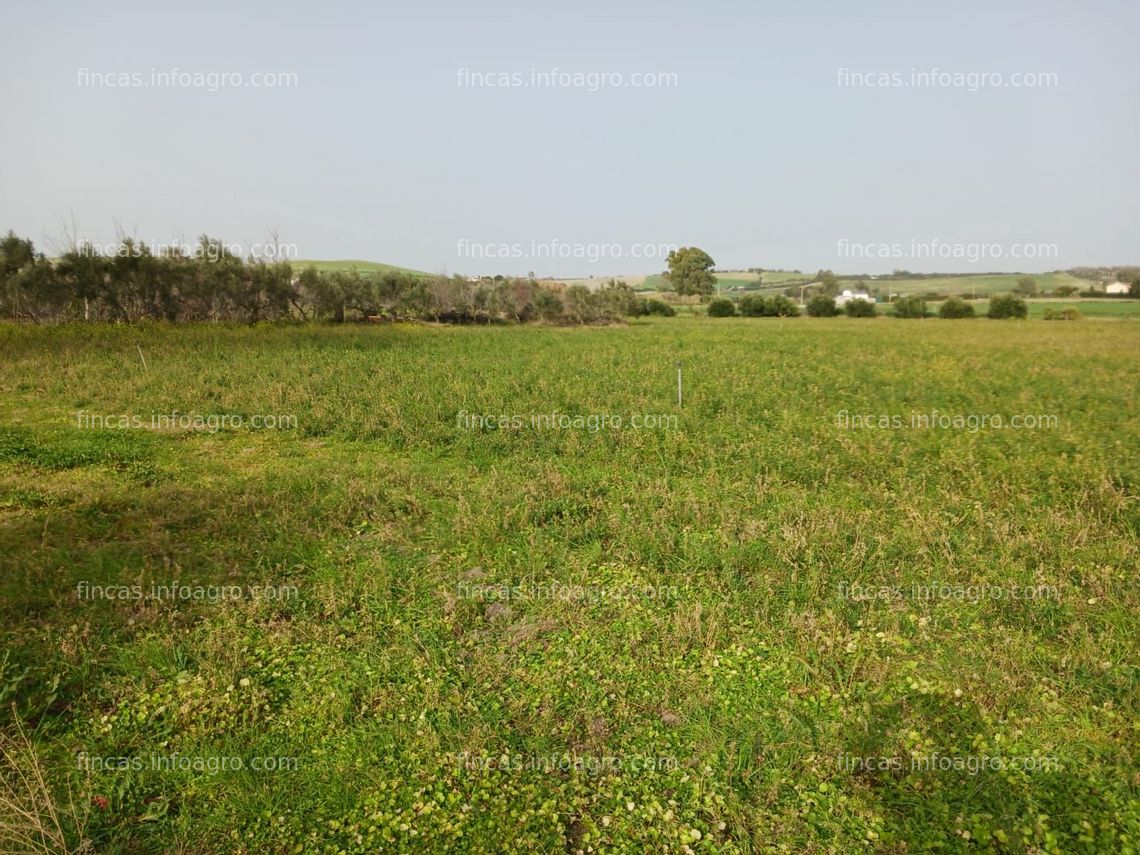 Fotos de Se vende finca