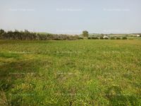 Fotos de Se vende finca