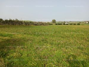Se vende finca